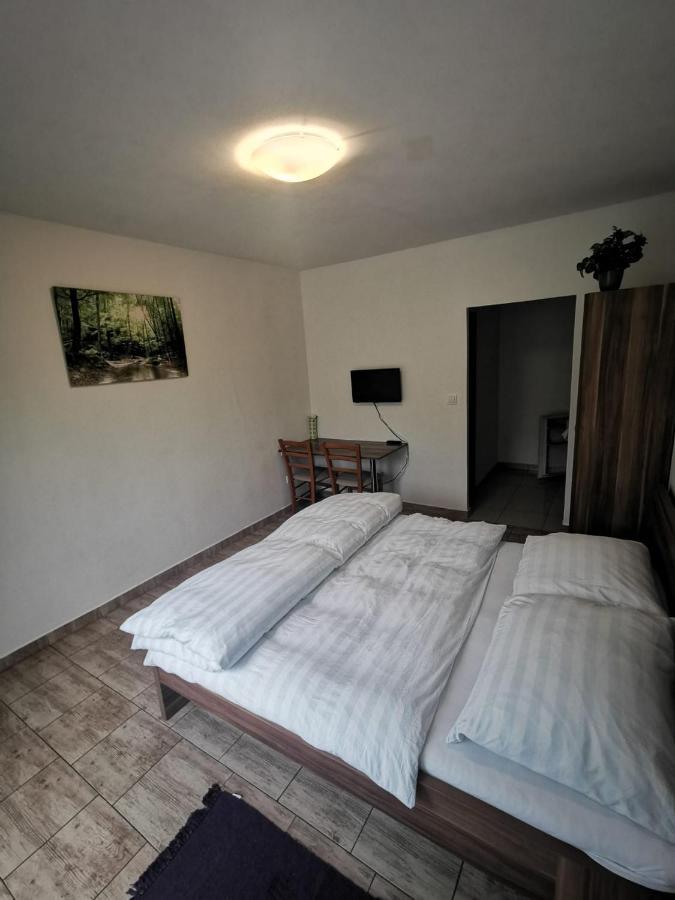 Apartmány pod Landštejnem Stare Mesto  Exteriér fotografie
